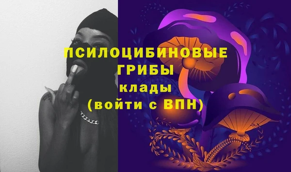 MDMA Premium VHQ Бронницы