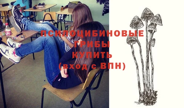 a pvp Богородицк