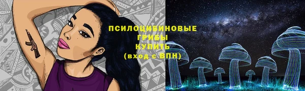 a pvp Богородицк