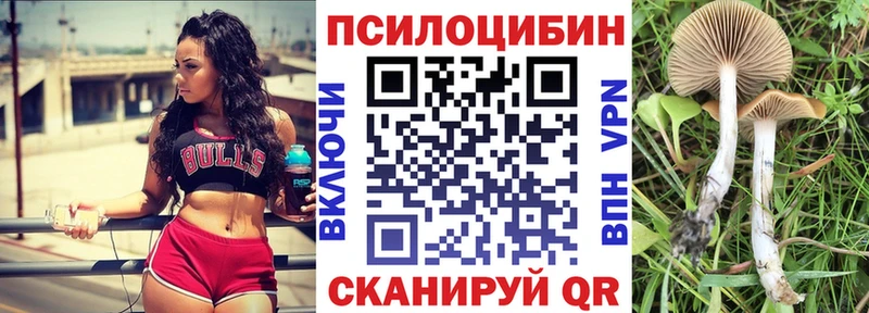 купить  цена  Купино  Псилоцибиновые грибы прущие грибы 