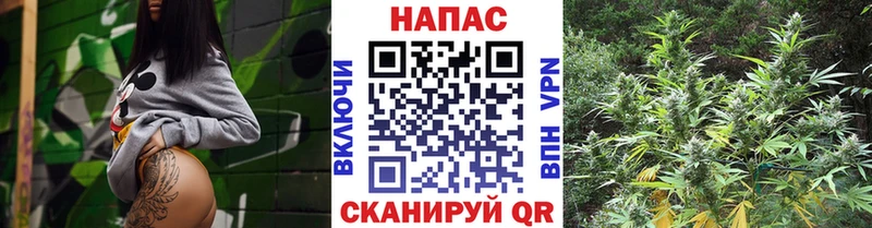 Канабис ГИДРОПОН  Купино 